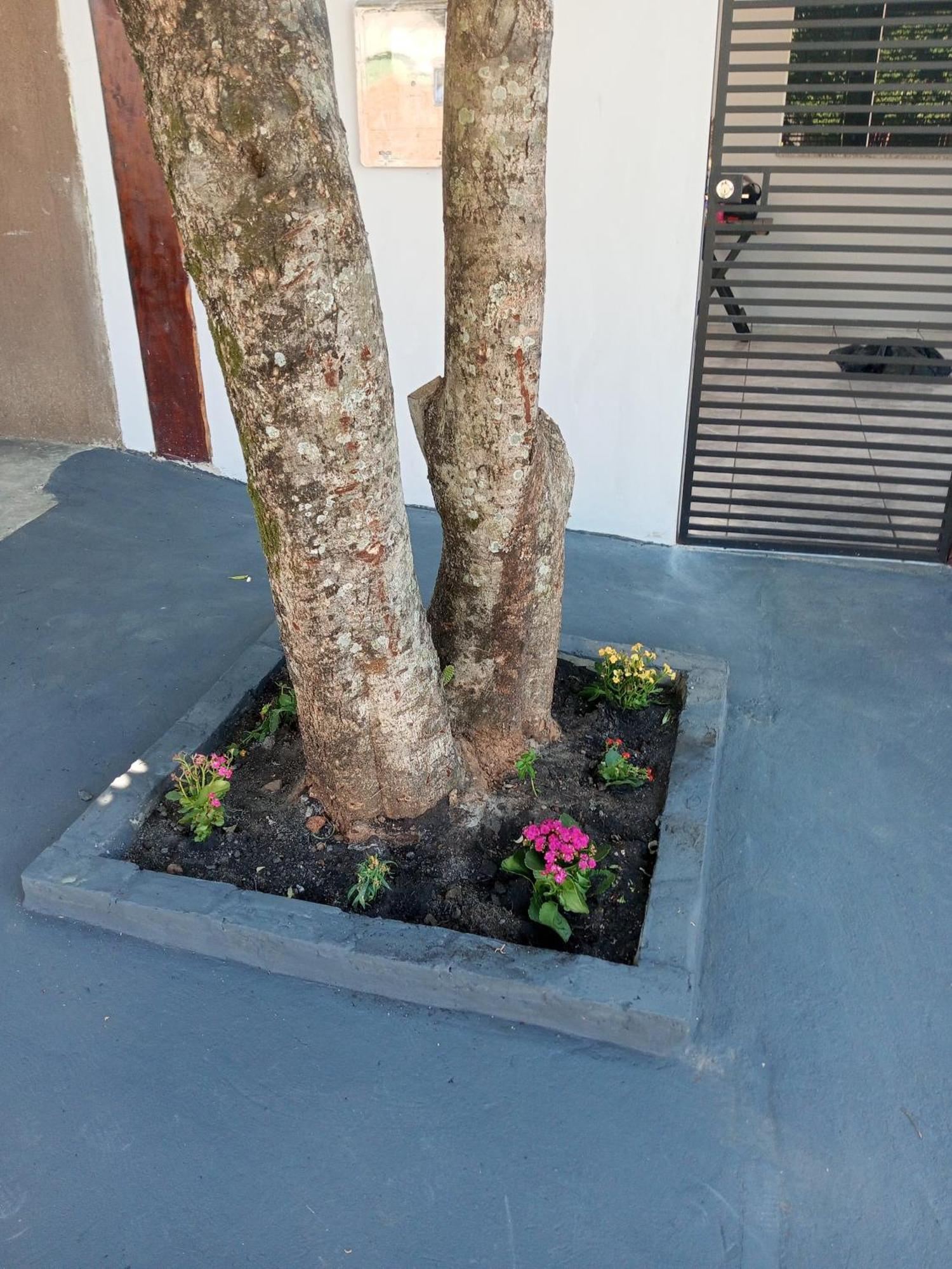 Casa Luna Da Boa Vista Бонито Экстерьер фото